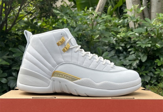 Air Jordan 12 Phantom FD9101-007 40-47.5 M126